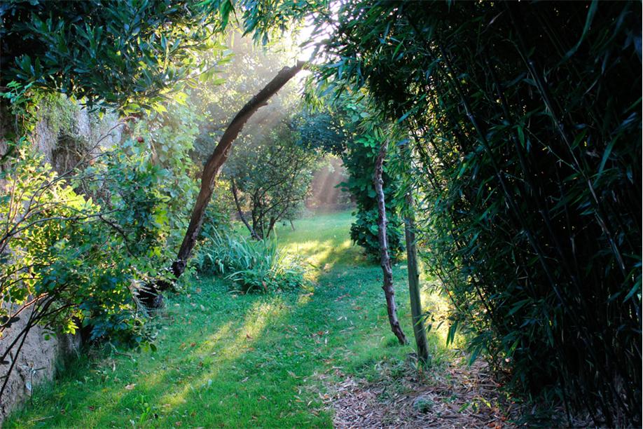Jardin_010.jpg